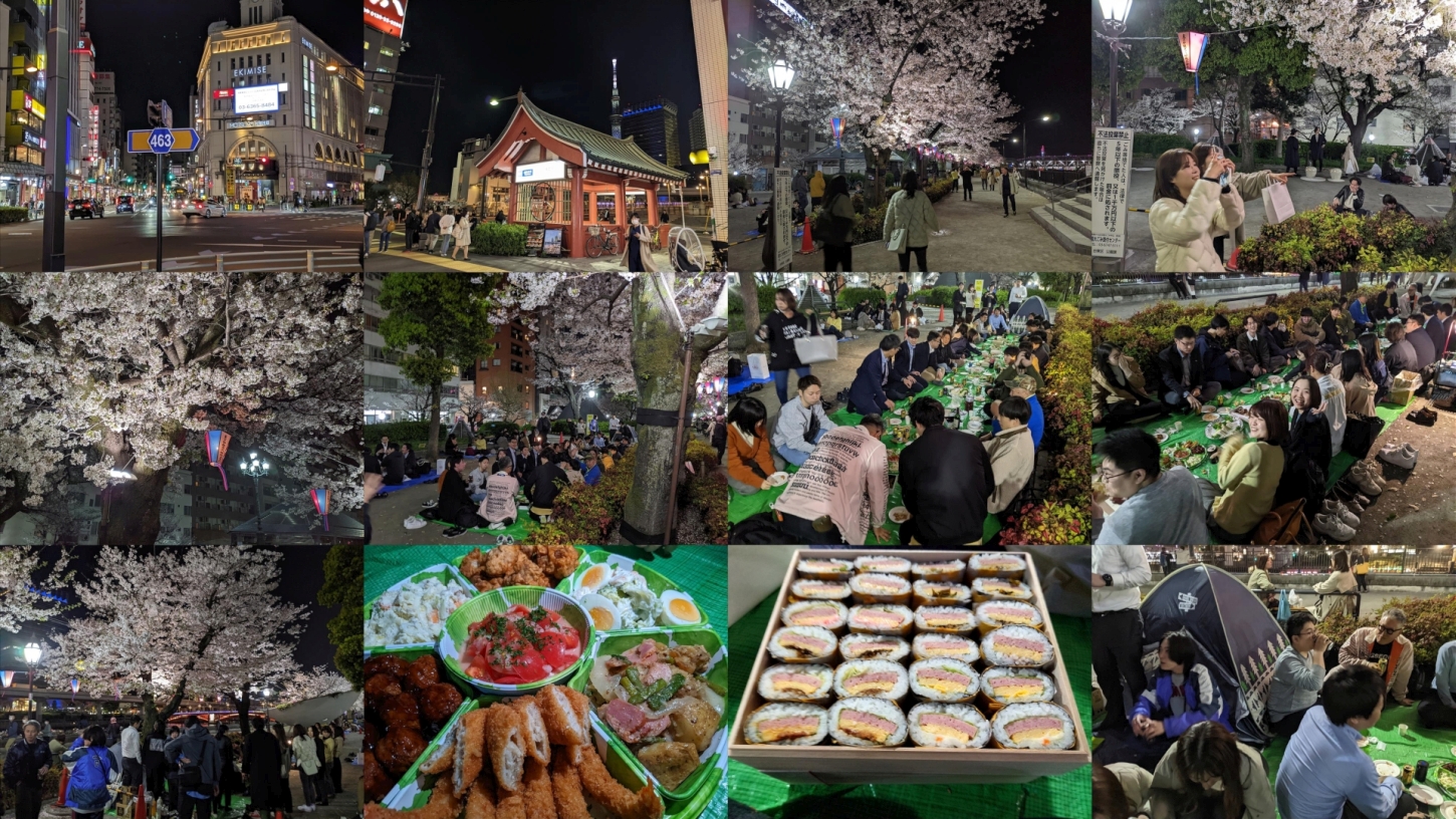 【2023年3月】「隅田公園（浅草側）」にて花見を開催しました【東京都台東区】