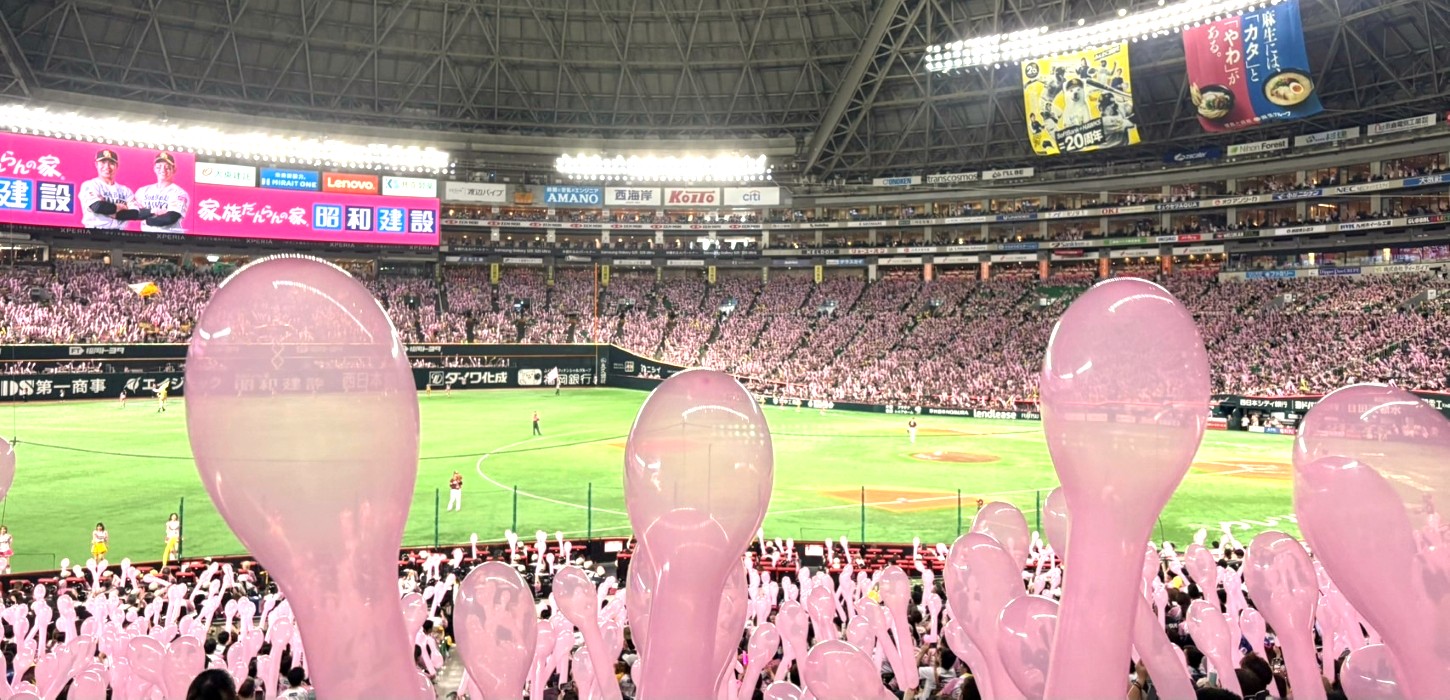 【2025年5月】プロ野球の試合を観戦しました【みずほpaypayドーム】